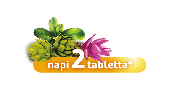 Hepacontur napi 2 tabletta